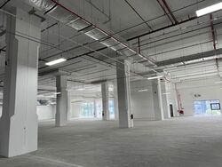 Maplewoods (D21), Warehouse #461402631